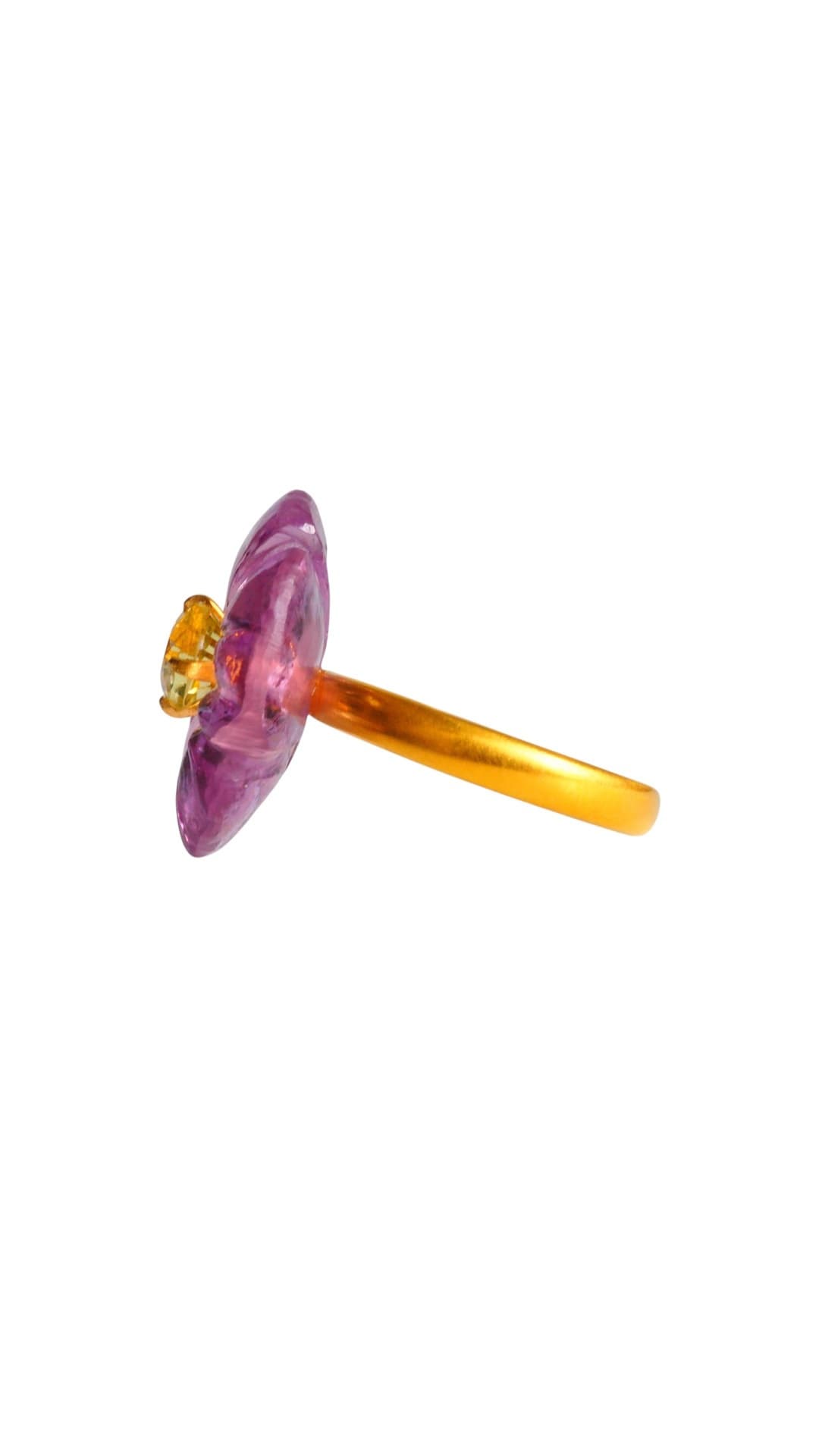 Violet ring（横）